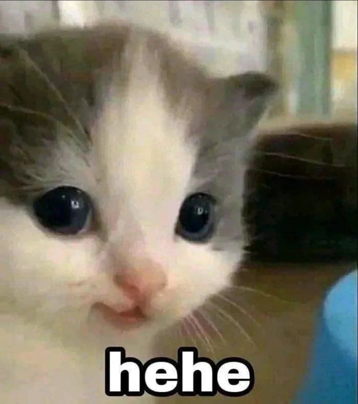 A kitten saying hehe.
